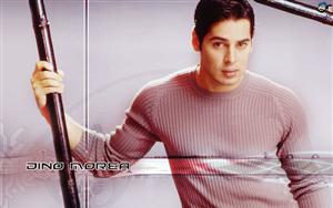 Dino Morea